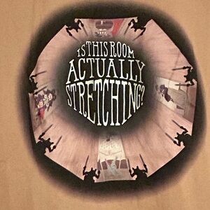 Disneyland Haunted Mansion Shirt